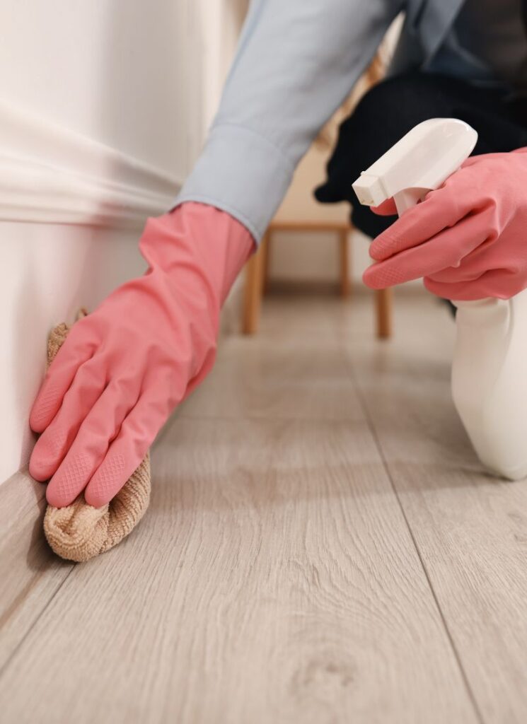 a lady cleaning the baseboard furniture