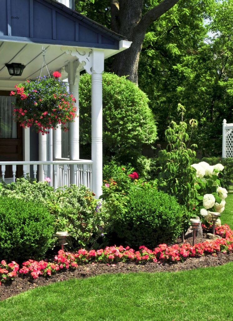 a simple house decor